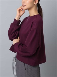 後拉鍊設計羅馬布上衣