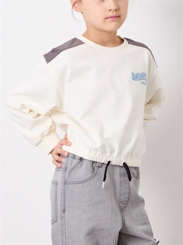 配色線條刺繡短版上衣